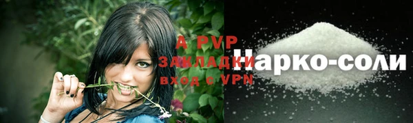 apvp Володарск