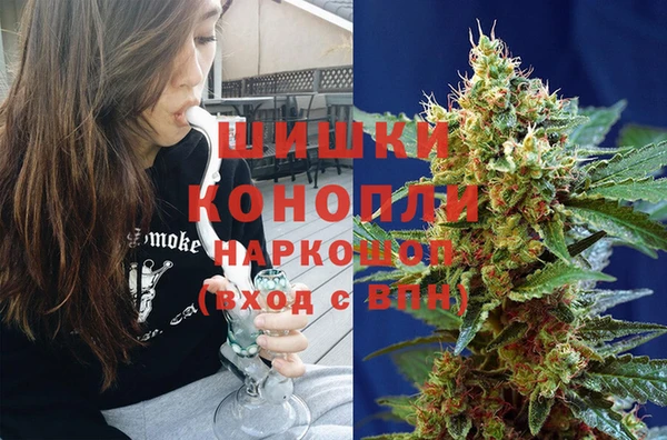 спиды Волосово