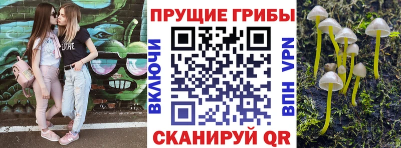 mega как войти  Дубна  Галлюциногенные грибы Psilocybine cubensis  цена  